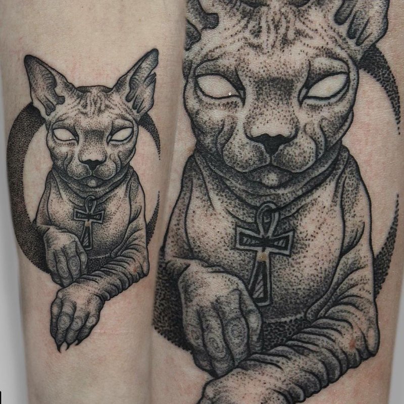 Трехголовый кот сфинкс