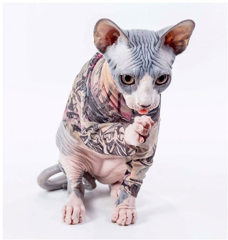 Мехенди на руке кошка