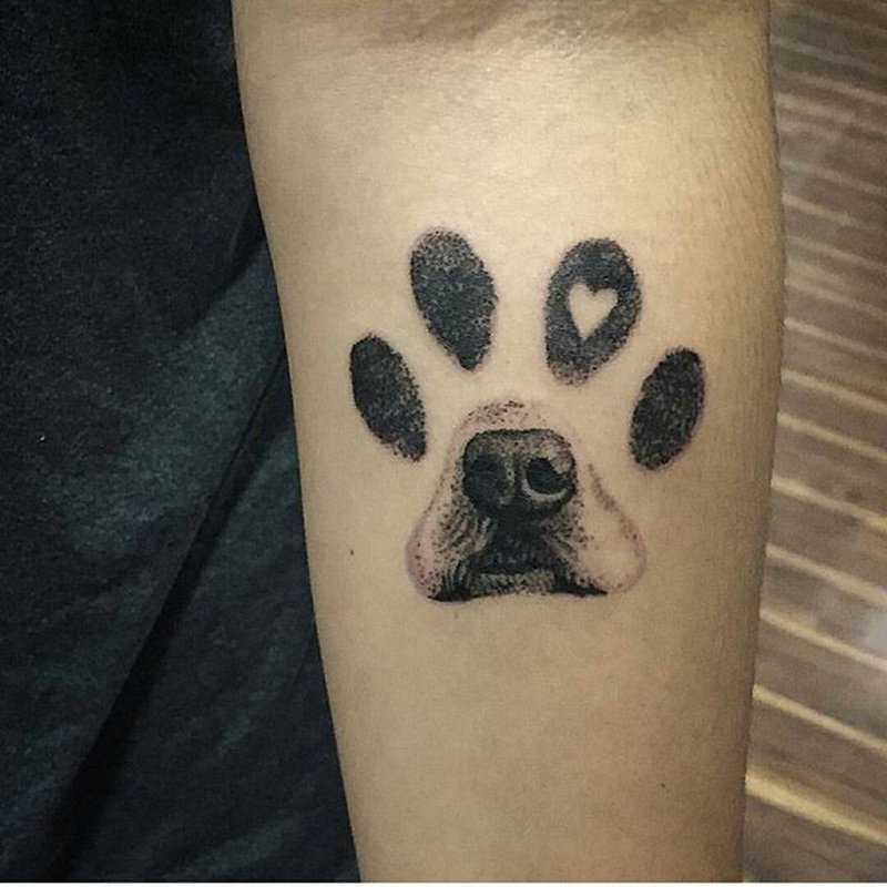 Тату лапа кошки