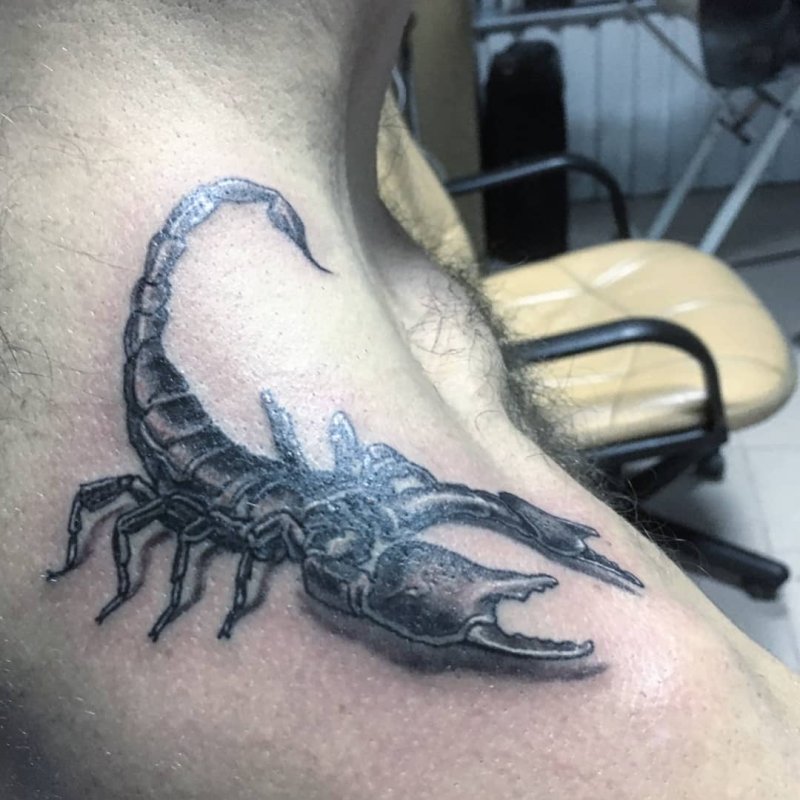 Красивые тату скорпиона