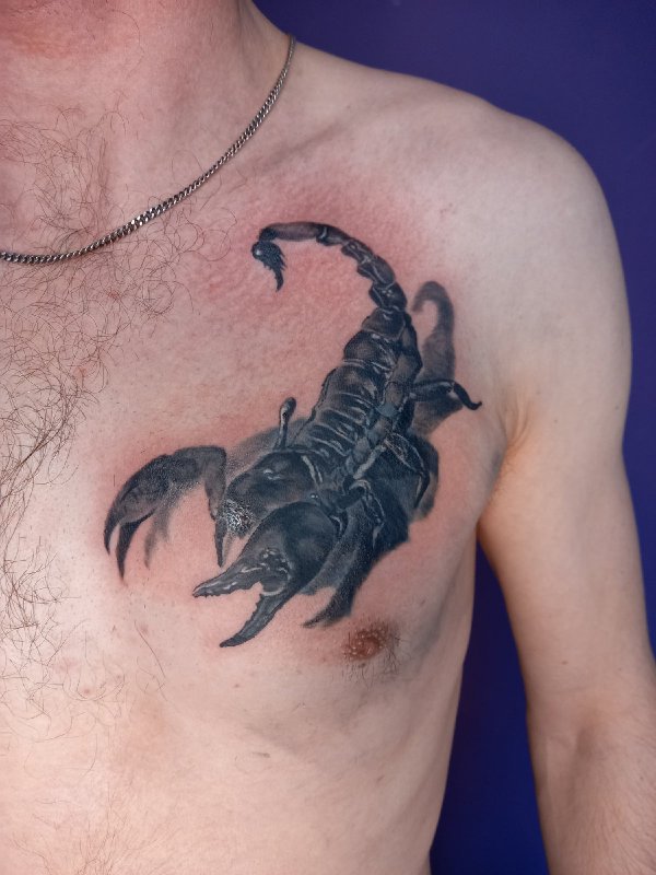 Скорпион реализм