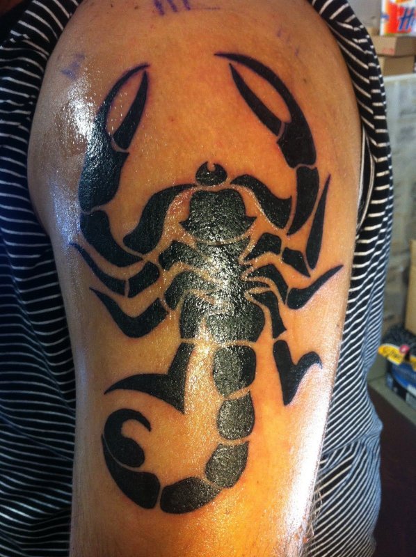 Скорпион Cover up