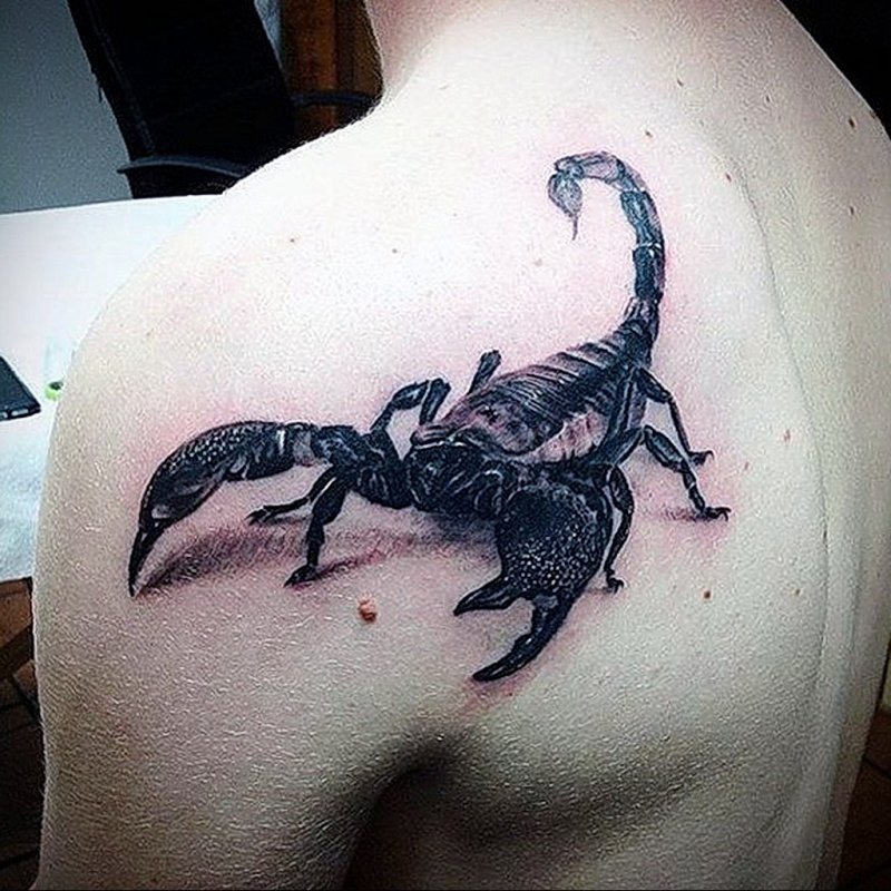 Скорпион Полинезия
