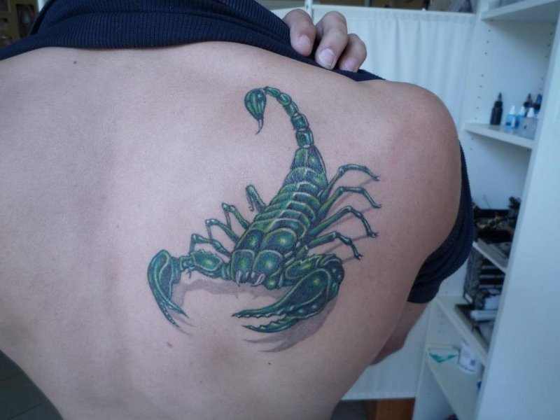 Тату скорпионс
