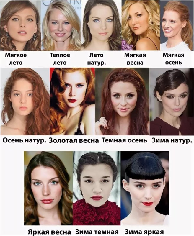 Цветотип холодная осень палитра