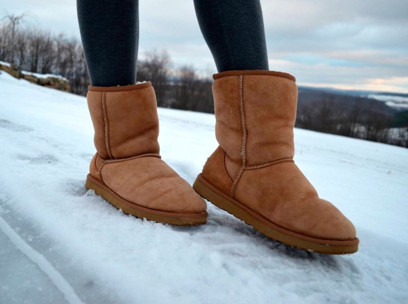 Сапоги UGG 5bht79v
