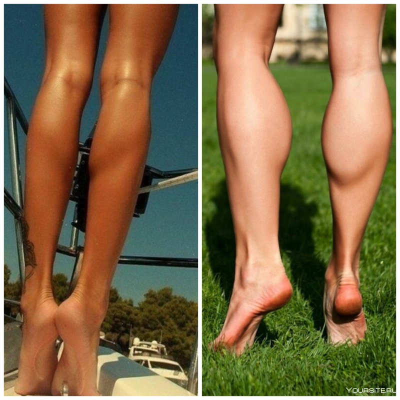 Calves Джули Уайт