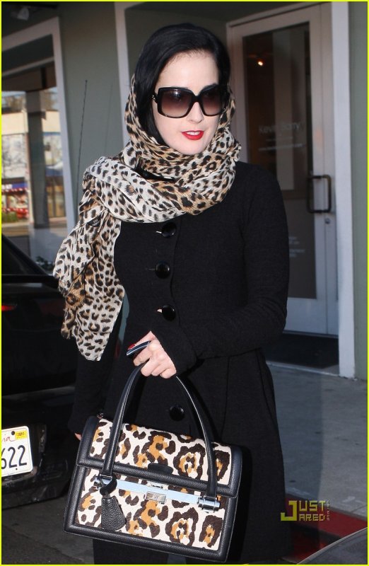 Louis Vuitton Leopard палантин