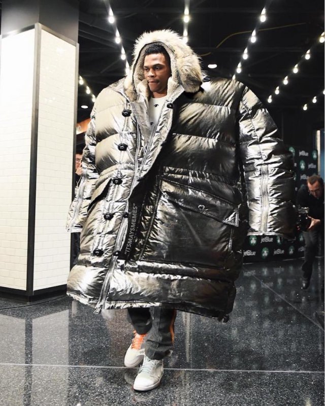 Metallic nylon Puffer Jacket