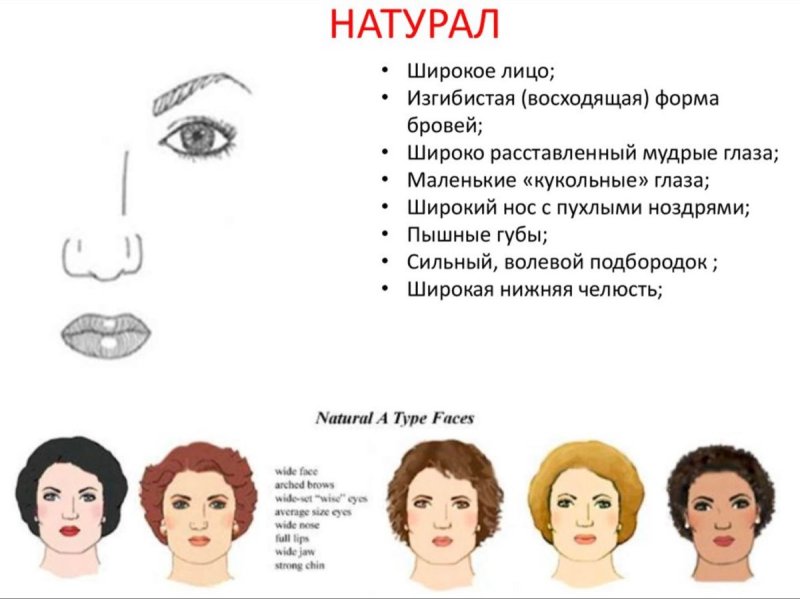 Дэвид Кибби типаж Soft Classic