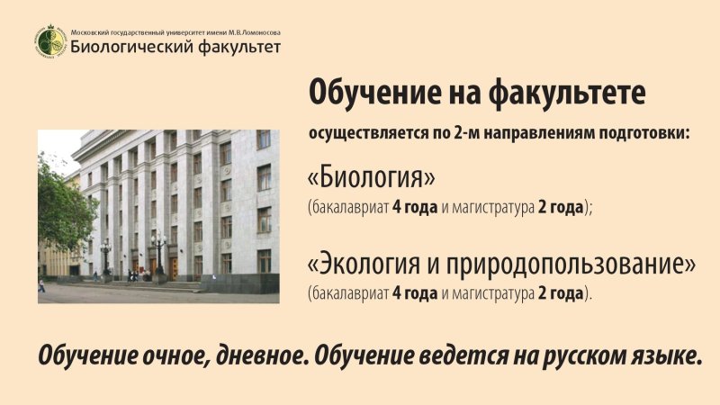 Петр плотник Заандам