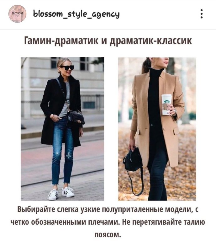 Типажи Кибби гамин