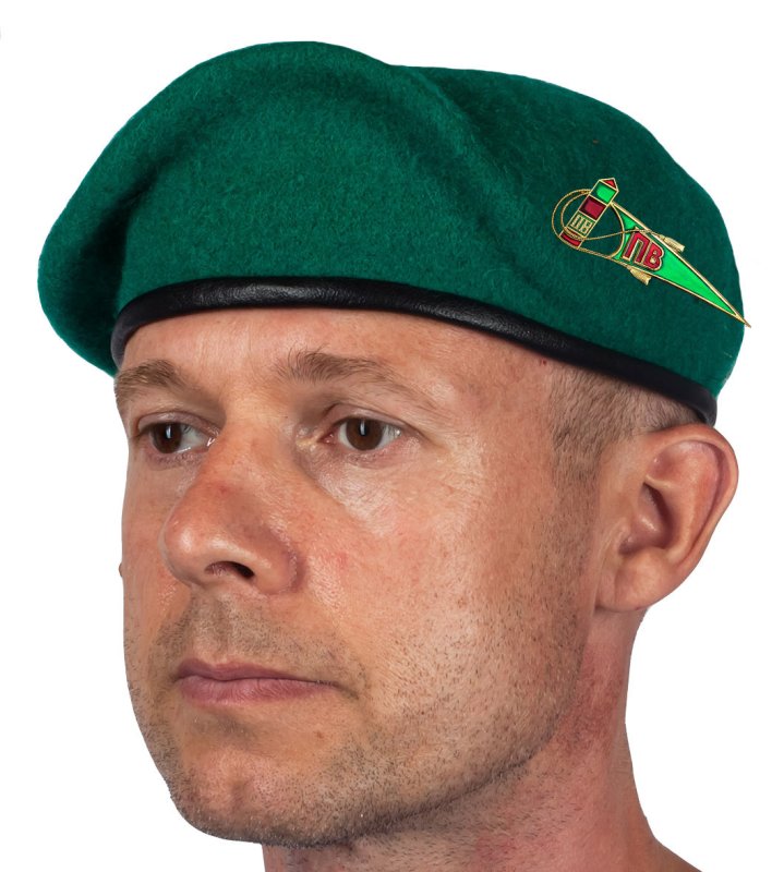 Беретка Wegener