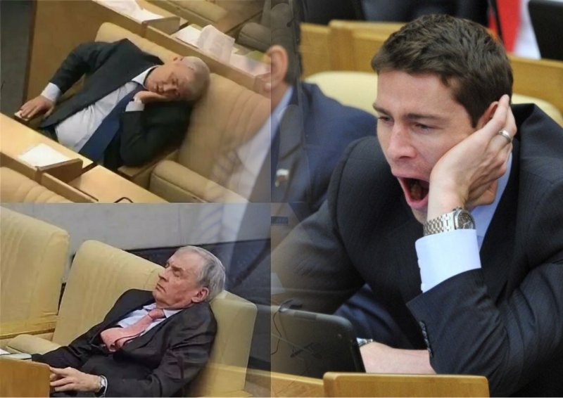 Светлана Хоркина в Думе