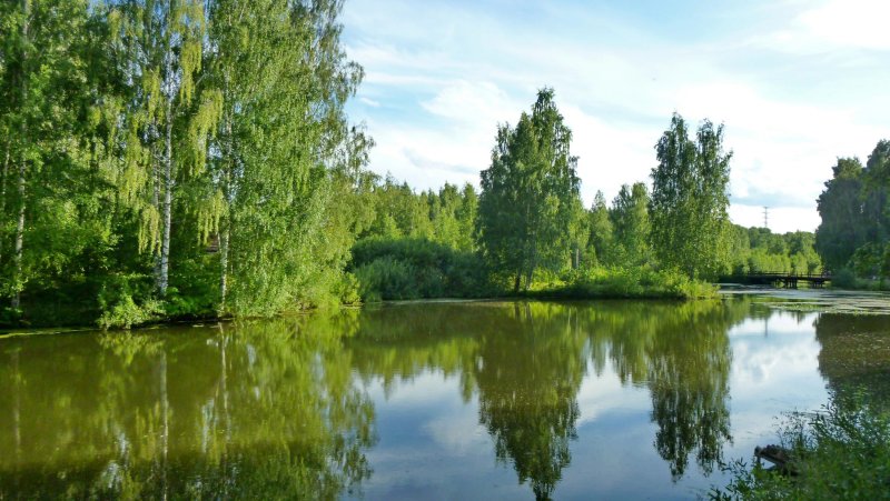 Река Покша Костромская область