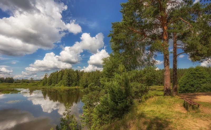 Макарьевский лес Кострома