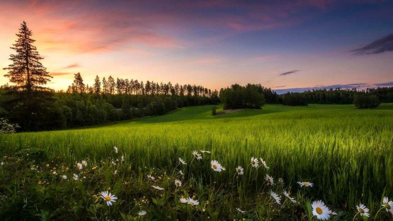 Летние пейзажи природы