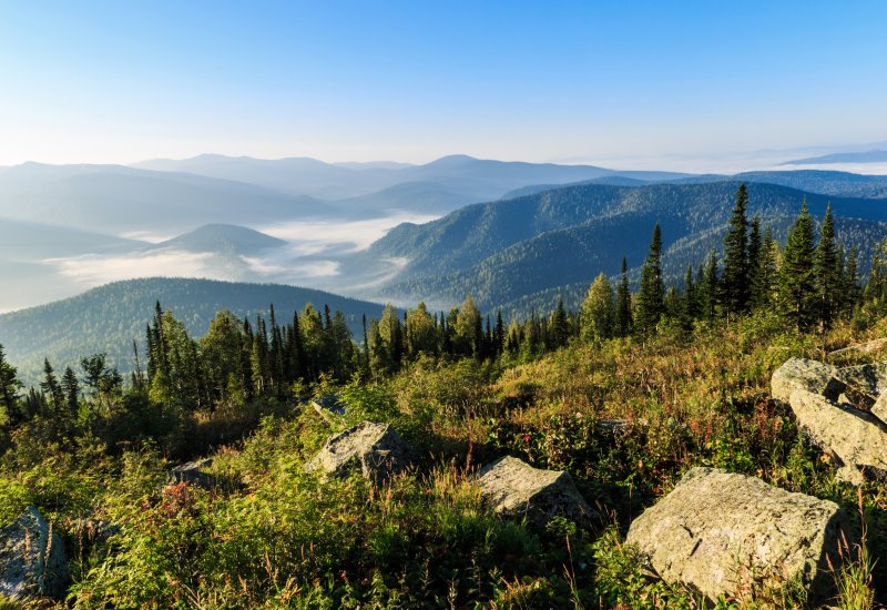Природа Кузбасса картинки