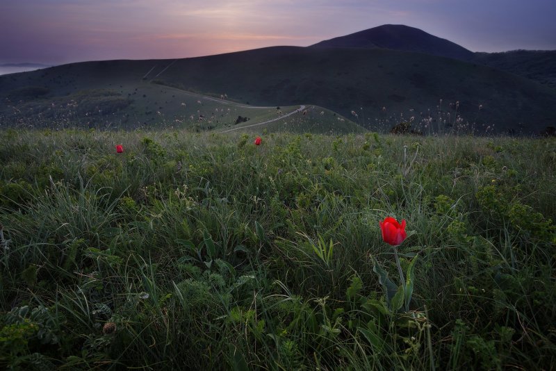 Маркхотский хребет Геленджик