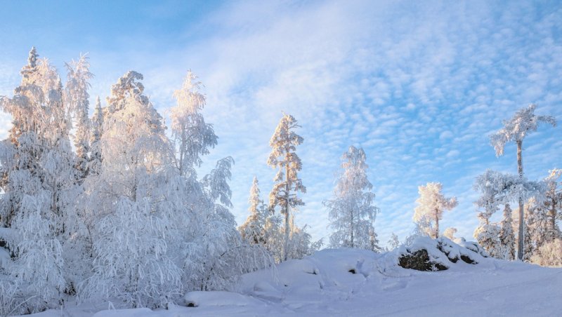 Зимняя природа Урала