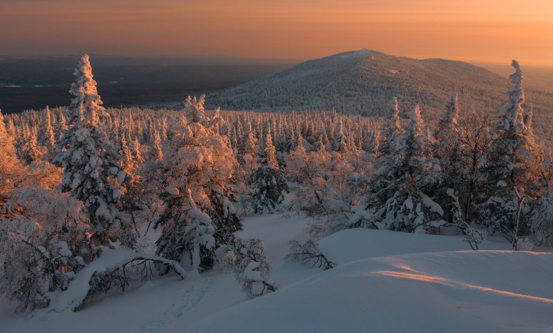 Хребет Уреньга