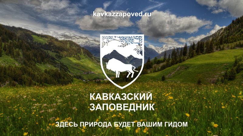 Государственный кавказский биосферный заповедник Сочи